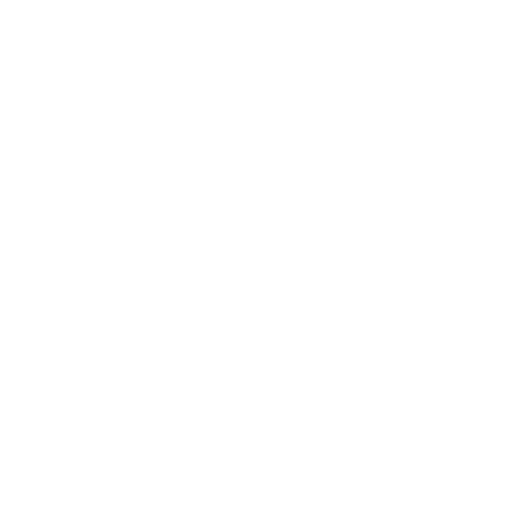 Instagram @equipe.btriad.jiujitsu